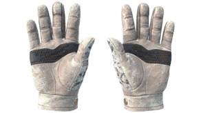 Snow Leopard image