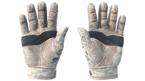 Snow Leopard image