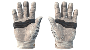 Snow Leopard image