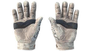 Snow Leopard image