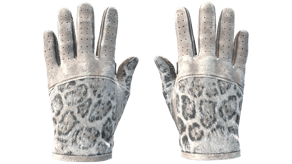 Snow Leopard image