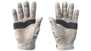 Snow Leopard image