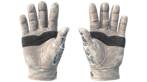 Snow Leopard image