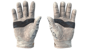 Snow Leopard image