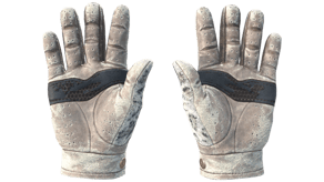 Snow Leopard image