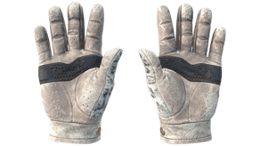 Snow Leopard image