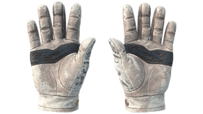 Snow Leopard image