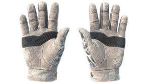 Snow Leopard image
