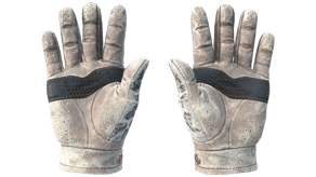 Snow Leopard image