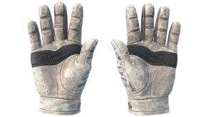 Snow Leopard image