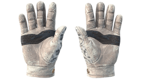 Snow Leopard image