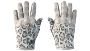 Snow Leopard image