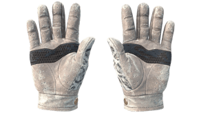 Snow Leopard image