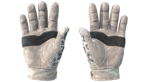 Snow Leopard image