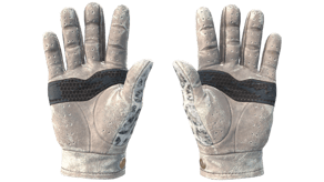 Snow Leopard image