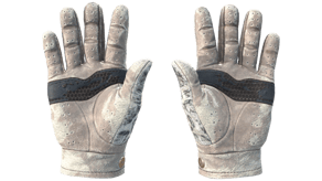 Snow Leopard image