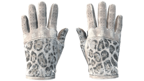 Snow Leopard image