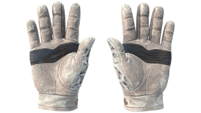 Snow Leopard image