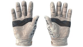 Snow Leopard image