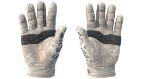 Snow Leopard image