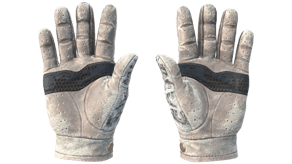 Snow Leopard image