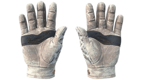 Snow Leopard image