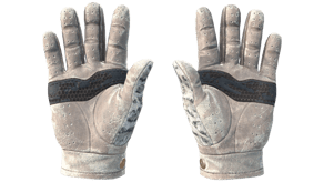 Snow Leopard image