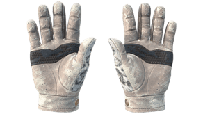 Snow Leopard image
