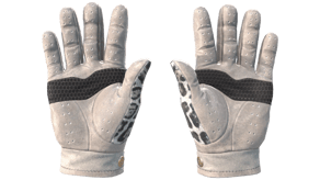 Snow Leopard image
