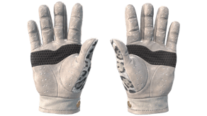 Snow Leopard image