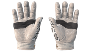 Snow Leopard image