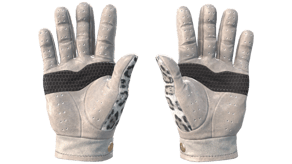 Snow Leopard image