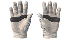 Snow Leopard image