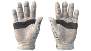Snow Leopard image