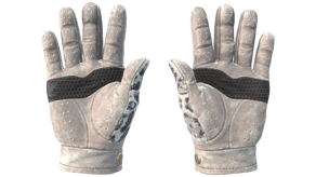 Snow Leopard image