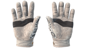 Snow Leopard image