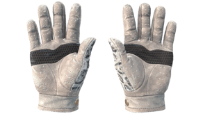 Snow Leopard image