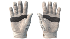 Snow Leopard image