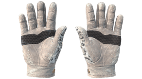 Snow Leopard image