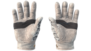 Snow Leopard image