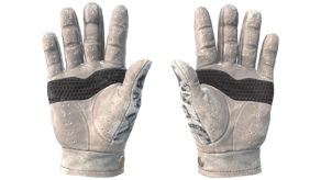 Snow Leopard image