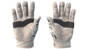 Snow Leopard image
