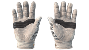 Snow Leopard image