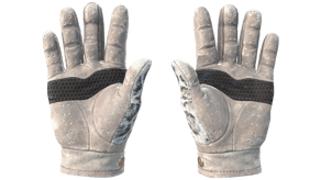 Snow Leopard image