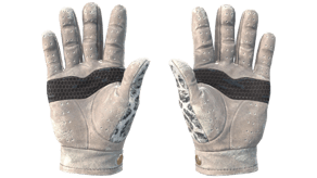 Snow Leopard image