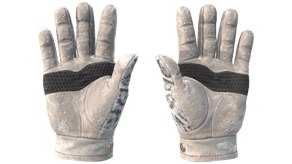 Snow Leopard image