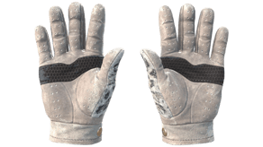 Snow Leopard image