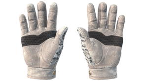 Snow Leopard image