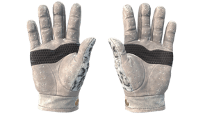 Snow Leopard image