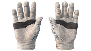 Snow Leopard image